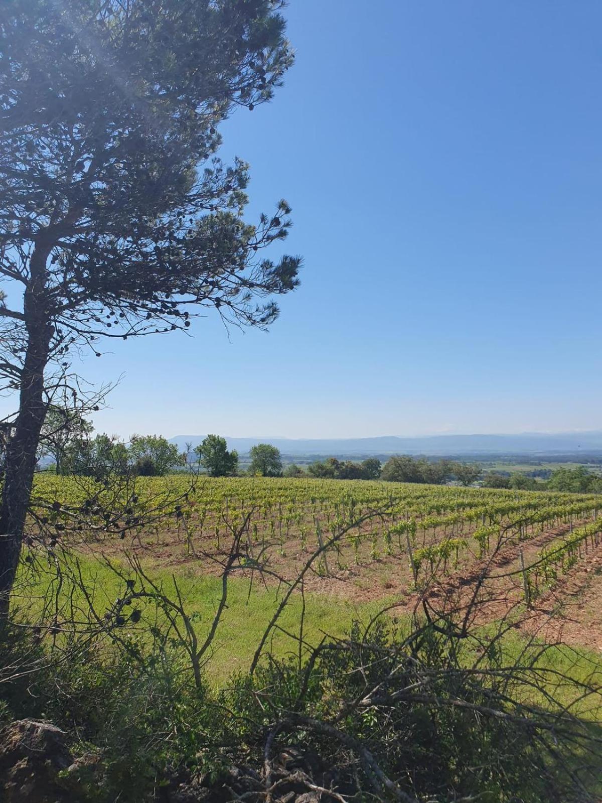 Maison De Charme Caunes-Minervois Buitenkant foto